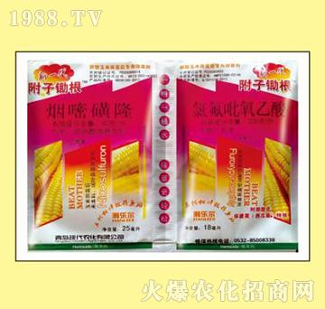 ���׻�¡+�ȷ���������-���ӳ���-嫘���