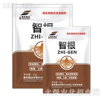 ΢����ͺ��������-�Ǹ�-���r(n��ng)˹�_