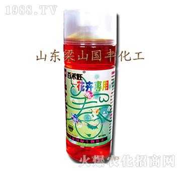 ���܌�(zhu��n)���~���-��ɽ��(gu��)�S