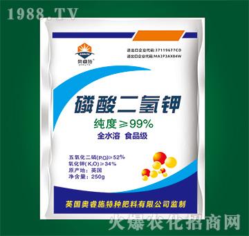 ��������-�W�ʩ