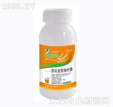 С�������K�ƽ�ѿ�ߗU��-�����ɰ�-��̩���