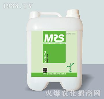 ���������͛_ʩ��20-20-20+TE-�~�ɭ