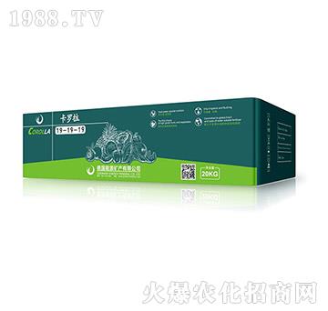 ����Ԫ��ˮ�ܷ���19-19-19-���_��-��Դ�V�a(ch��n)