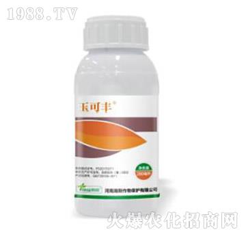 10%���׻�¡-����S-�˹����