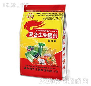 �ͺ��������-������-ꖹ�����