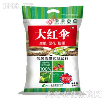 ����ֳ��ˮ�ܷ���-��t��-������