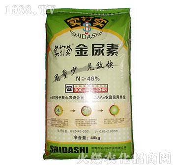 ������-����