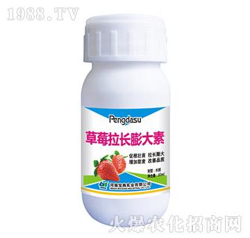 ��ݮ���L�����-���䌍(sh��)�I(y��)