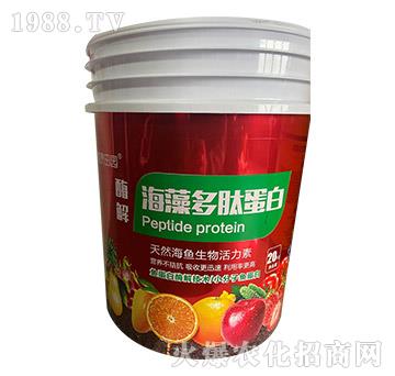 ø�⺣����ĵ���-���F��@-�����r(n��ng)�I(y��)