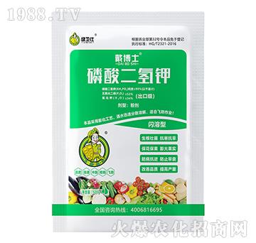 �W������������-����ʿ-�G������