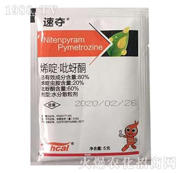 80%ϩड�����ͪ-�يZ-̩�̻���