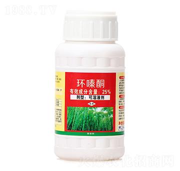 25%�h(hu��n)�ͪ��250�ˣ�-�s���-ϲ�S��