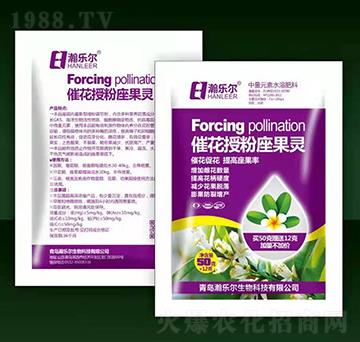 �߻��ڷ������`-嫘�(l��)��