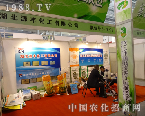 2013�׏ͷ�չ�N��