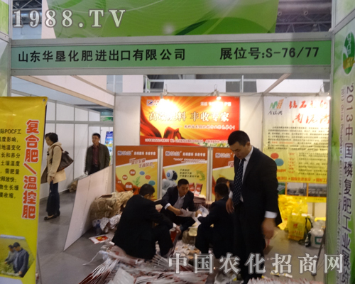 2013�����׏ͷʕ�