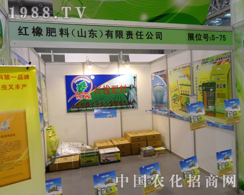 2013���׏�(f��)�ʕ�(hu��)�h