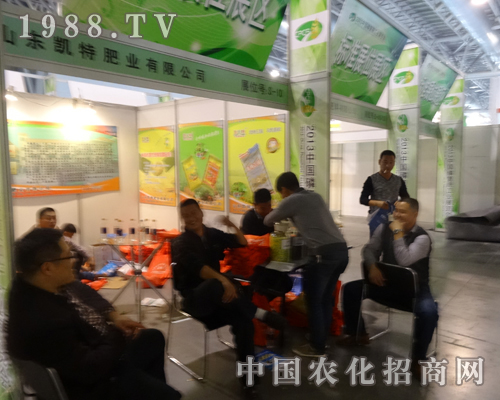 ɽ�|�P�طʘI(y��)������2013ȫ���׏�(f��)�ʕ�