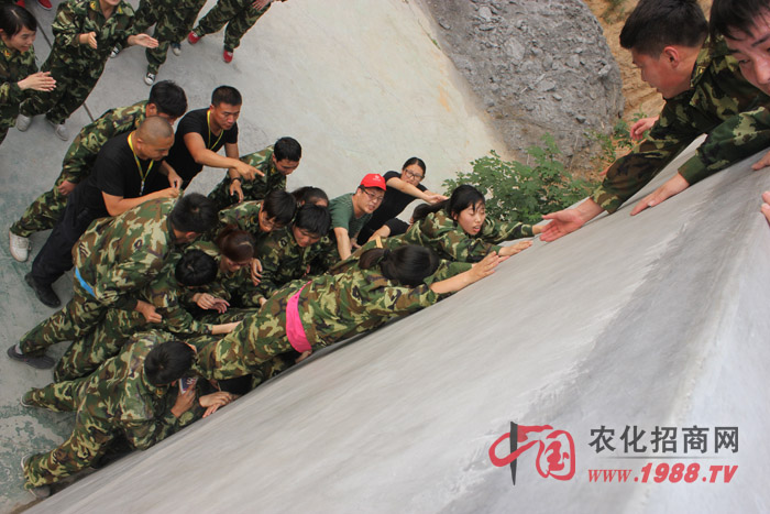 �����y������(zh��n)��ǰ����Ҷ������ľ���������w�F(xi��n)������(zh��n)���ң��۟��F꠵ľ�����