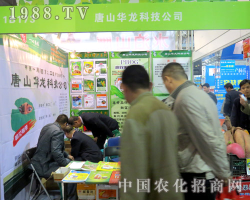 �A����2015�����ֲ������ȫ���Ը�