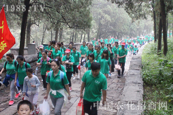 ��8�����ҵ�8��