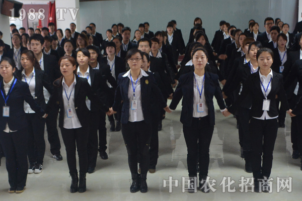 �F(xi��n)�ڲ�����������������