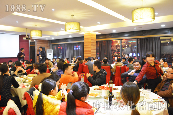 �Ų�����������