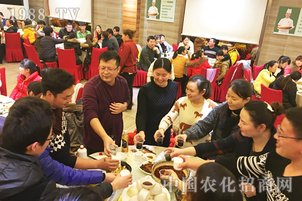 �����ڳ���  �P������