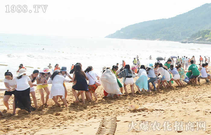 �泯�������w��