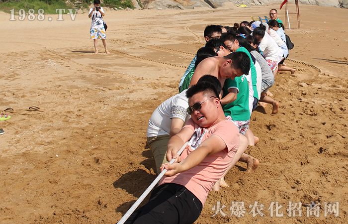 �ں�һ�������B�Ƹ�֮��