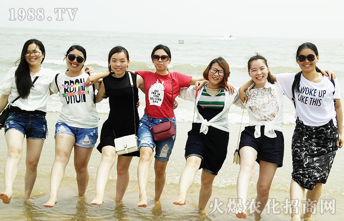 �B�Ƹ�֮��--�_̤��(sh��)���ߺ�����ÿһ����