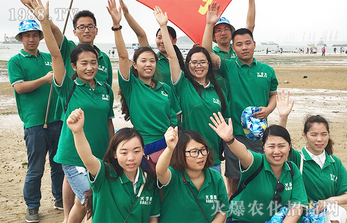     �����B�Ƹ������ܺ����������