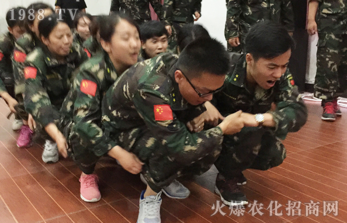 �𱬾W(w��ng)2017��(d��ng)���X(ju��)��Ӗ(x��n)���I(y��ng)