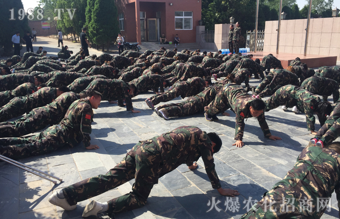 化蛹成蝶,不斷突破!