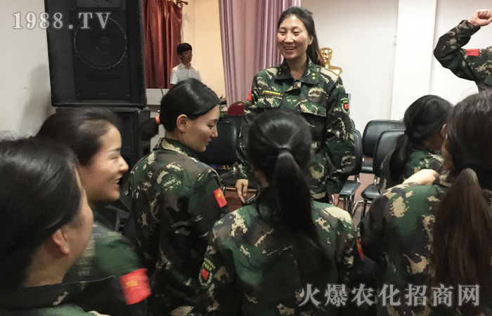 化蛹成蝶,不斷突破!