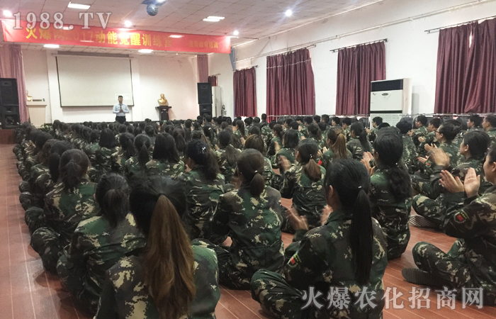 化蛹成蝶,不斷突破!