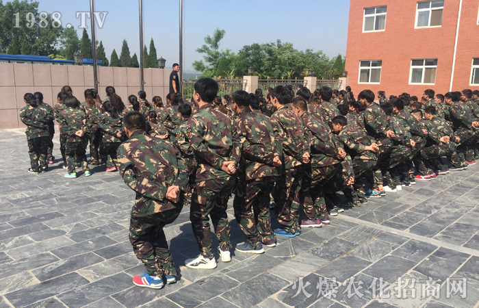 ���w�O�޵�����(zh��n)�������ϴ�Y