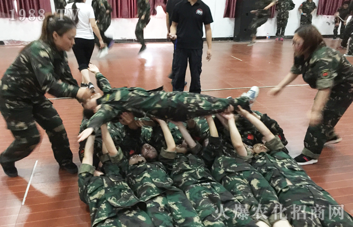 化蛹成蝶,不斷突破!