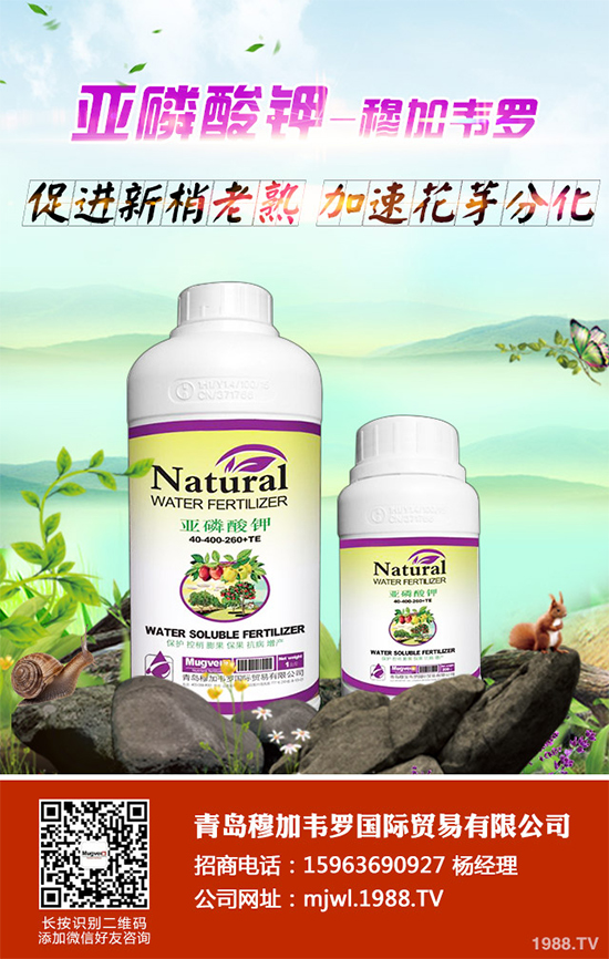 ���{ܛ��������Щ�Y����F(xi��n)������ΰl(f��)���������{ܛ�����A����ʩ