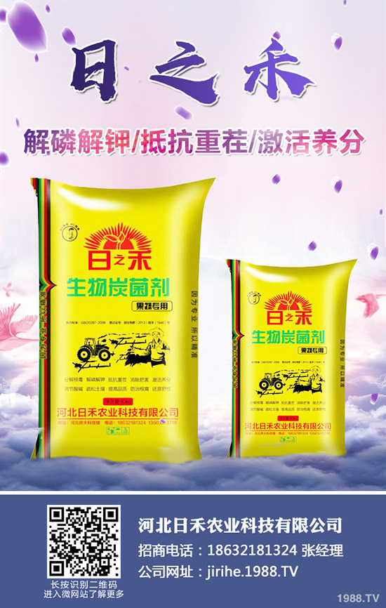 2019С��?zh��n)�ô�r(sh��)��Nֲ��С���Nֲע��Ҫ�c(di��n)��