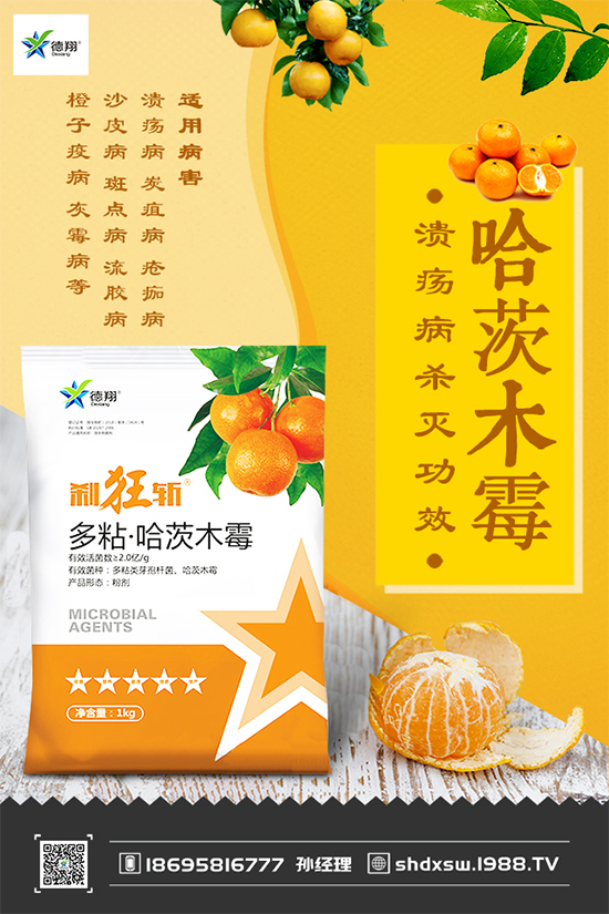 ���{(l��n)�ڰ߲�Σ���@ô��������ԓ��η��Σ����(l��i)��������