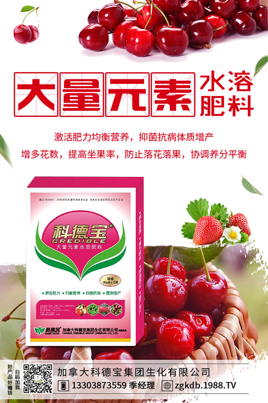 ������(ji��)�N��ᘹ����������������(ji��)��ᘹ�����������