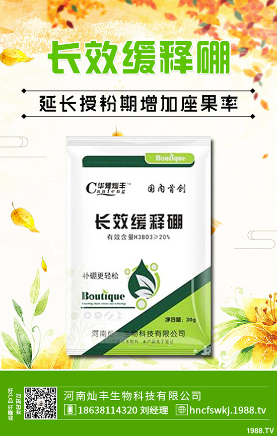 ���X�ݺ��~�X����ʲô��ͬ�����X�ݺ��~�X�ݵą^(q��)�e��Щ��