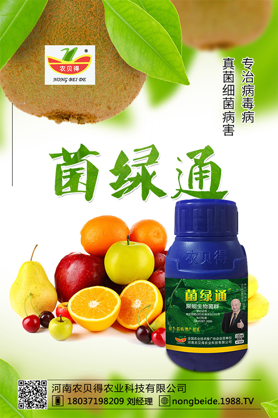 С��������_�x�N����֪������x�N�Ŀ��@����