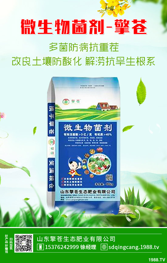     ���؃r���B�m(x��)�µ����������������߄ݷ���2019-10-17