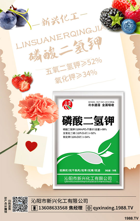 ���[�B��Σ���󣬵���ԓ��ν�Q�����[�B���ϵK���߮a(ch��n)�������g(sh��)��