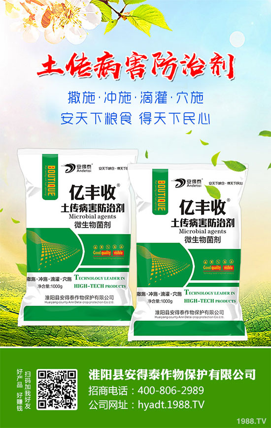 ���}���Ĺ�Ч�c���������}���I(y��ng)�B(y��ng)�r(ji��)ֵ��