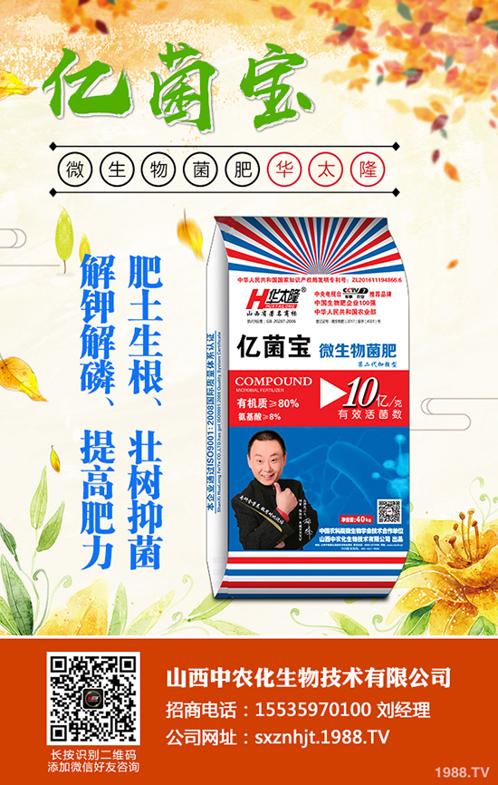     2019��10��18�ս���������(n��i)���@�r(ji��)�������߄�