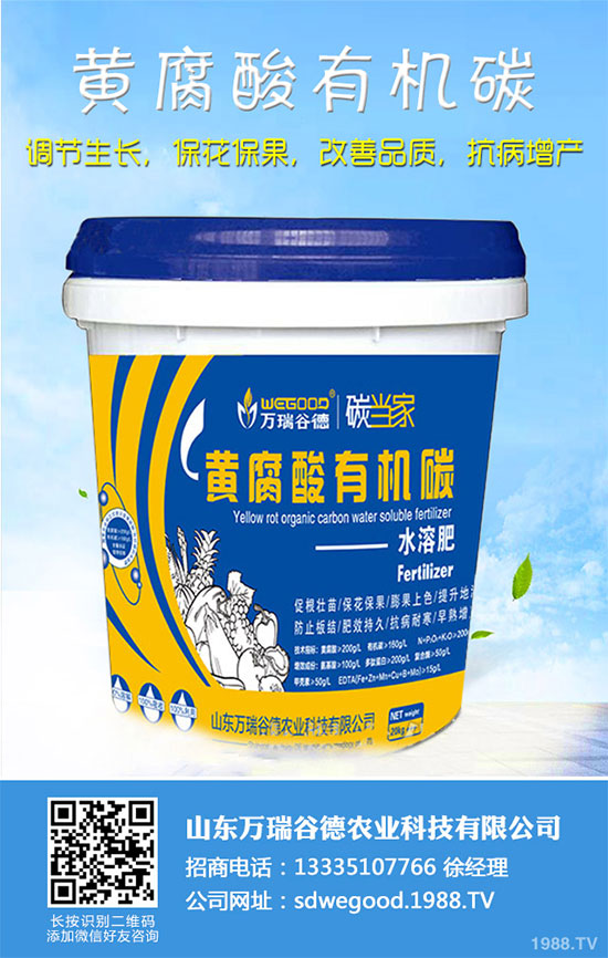 С�ײ�ʲô�r(sh��)��Nֲ��С�ײ˸߮a(ch��n)�Nֲ���g(sh��)