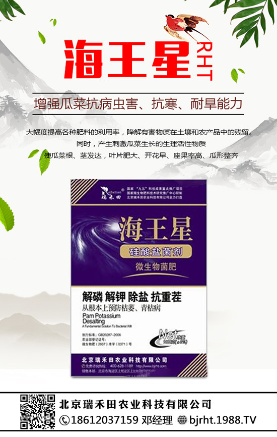 ���N�����B(y��ng)�������N���B(y��ng)ֳ������ע����헣�