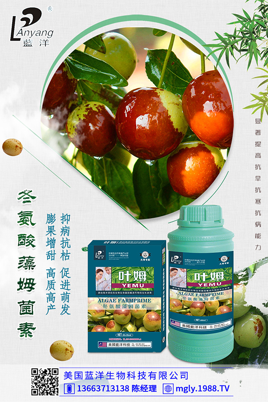 �ײ�ܛ��������������������ЩΣ�����ײ�ܛ�����İl(f��)���c����